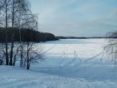 Пялово - 80