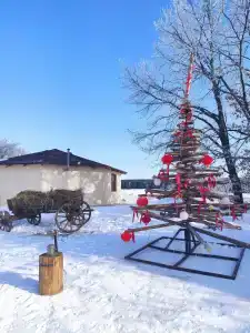 Аргамач - 23