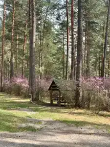 Новый Горизонт - 36