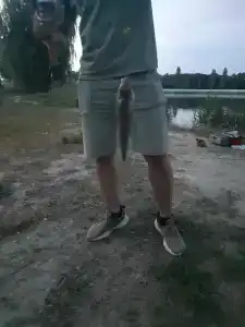 База отдыха у Василича - 57