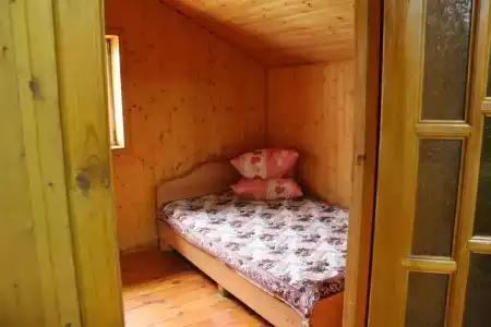 Тюльпан - 4