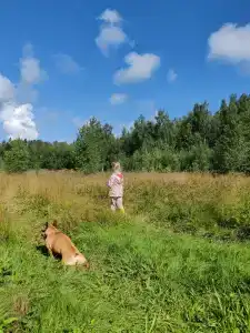 Глушь - 11