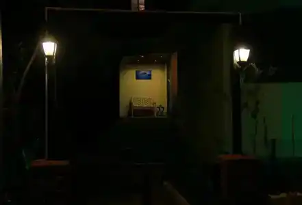 Caretta Caretta - 45