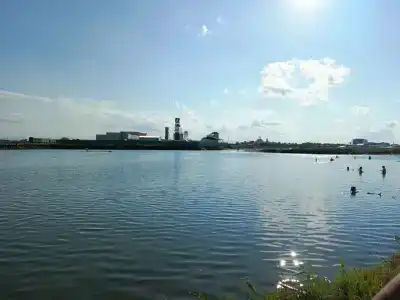 Соленый берег - 6