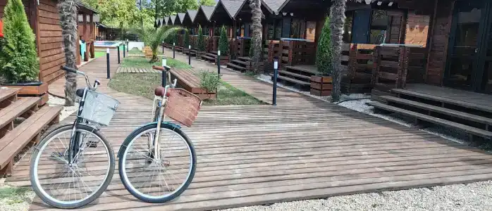 Платан-Paradise - 46