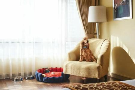 President - Ihcl Seleqtions - 55