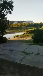 Сомовье Логово - 37