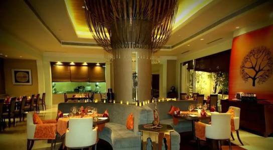 Radisson Blu Bengaluru Outer Ring Road - 87