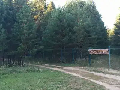 Пчелинцево - 5