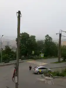 TFL  - 83