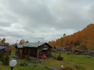Шумиха - 12