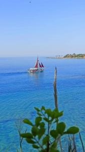 Aska Bayview Resort - All Inclusive - 53