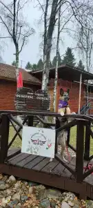 Северное Сияние - 9