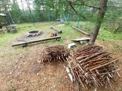 Пчелинцево - 68