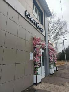 Фламинго - 29