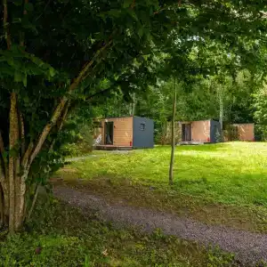 Лесной Привал - 99