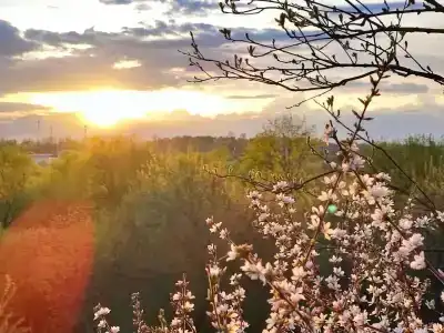 Подворье - 47