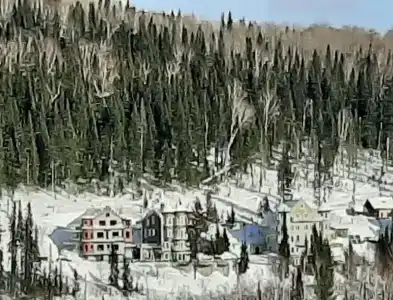 Замок Эдельвейс - 22