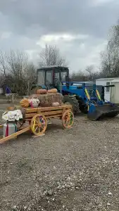 Наша дача - 27