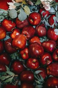 Лукоморье - 81