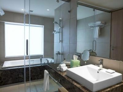 Holiday Inn Chennai Omr It Expressway, An Ihg - 47