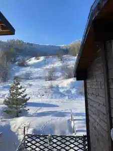 Василиса - 20
