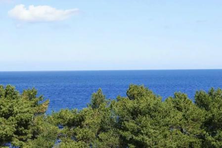 Rugard Thermal Strandhotel - 10