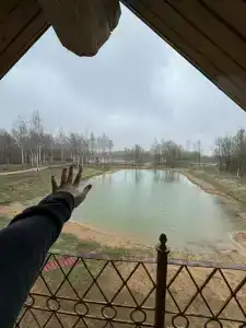 Фестиваль-Парк - 34