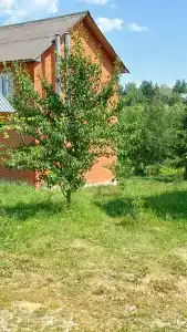 База отдыха у Михалыча - 10