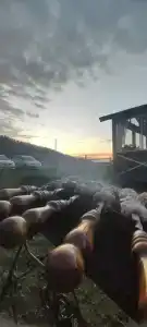 Горные Качели - 45