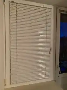 Беловежская пуща. №2 - 77