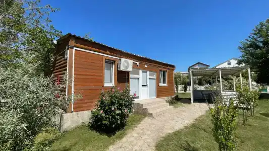 Дельфин - 1