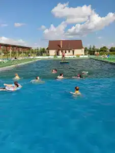Каштан - 10