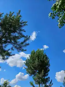 Великовечное - 98