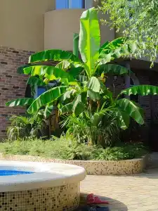 Panorama&Spa - 7