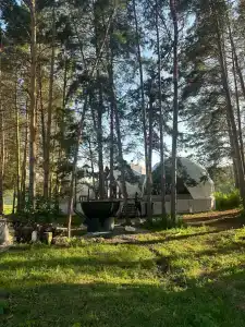Йола - 45