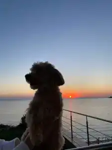 Бирюзовая Бухта - 38