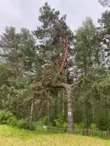 Зеленые горки - 7