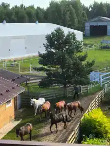 Конный Двор в Пржевальском - 3