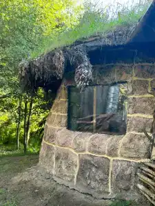 Медвежье урочище - 60