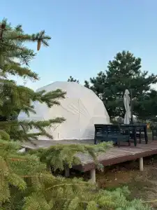 Альбатрос - 17