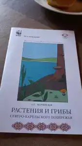 Аурелия - 34