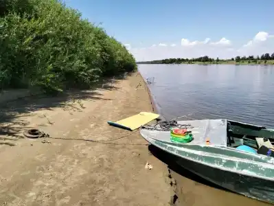 Лес и Рыба - 24
