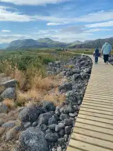 Cedar Grass Териберка - 48