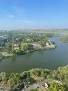 Янтарь - 50
