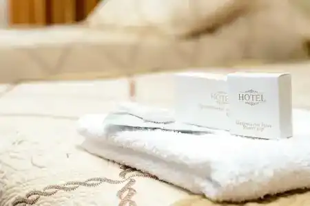 Горизонт - 41