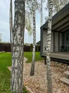 Хвойный Лес - 69