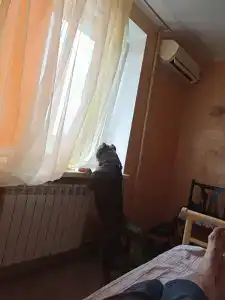 Лазурный - 6