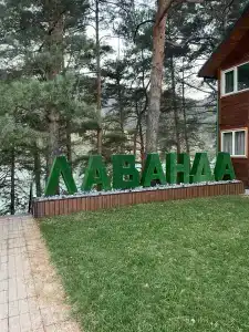 Лаванда - 23