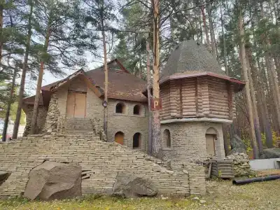 Сосновый бор - 67